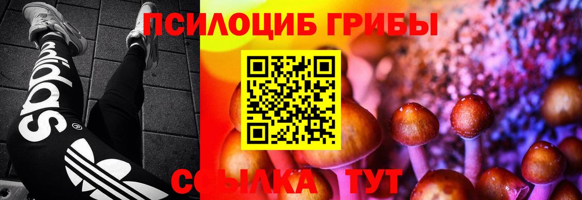 Мыски  Псилоцибиновые грибы Magic Shrooms  Галлюциногенные грибы ЛСД  Вход с VPN 
